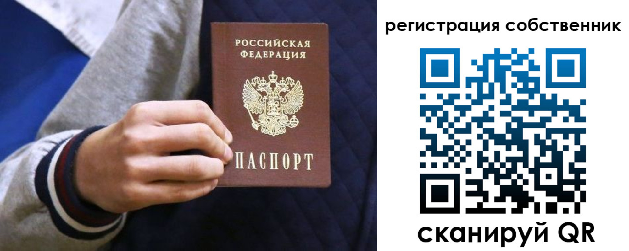 прописка поиск в Алексеевке
